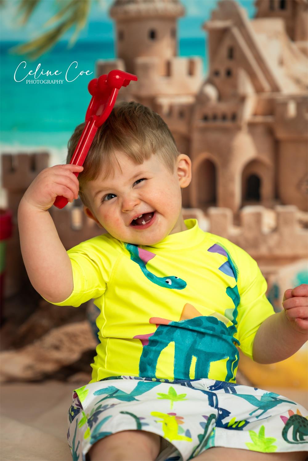 Kate Sommer Meer Ball Sandburg Hintergrund Entworfen von Chain Photography - Kate Backdrop.de