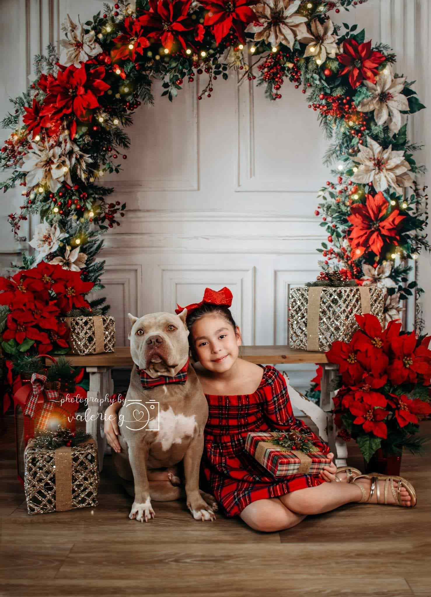 ⚡Blitzangebote #2-Kate Weihnachten Bunter Blumenbogen Weiße Retro Wand Hintergrund - Kate Backdrop.de