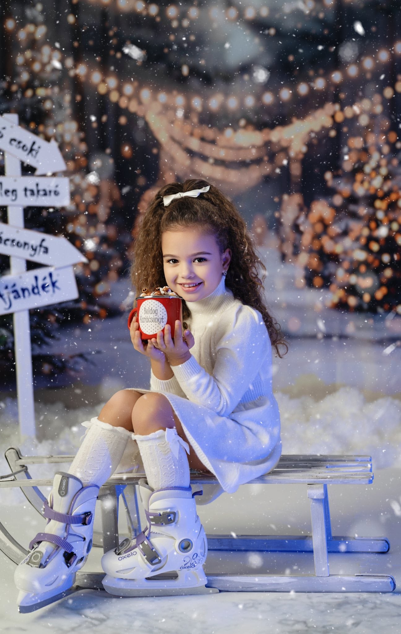 Kate Winter Weihnachten Outdoor Wald Weiße Schneelandschaft Hintergrund entworfen von Emetselch