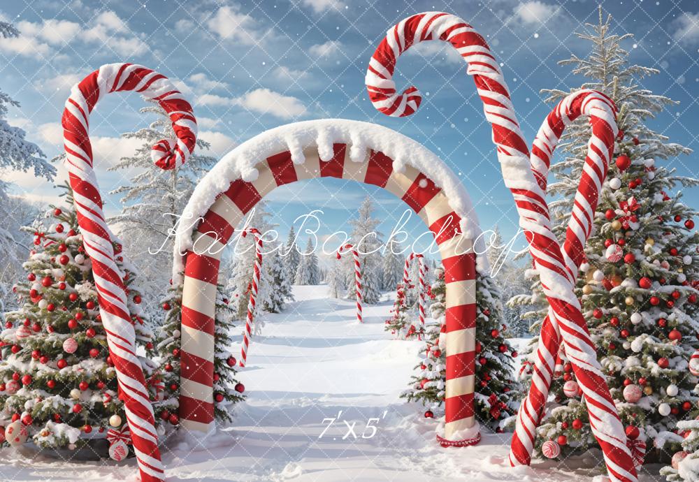 Kate Winter Weihnachten Outdoor Wald Schnee Candy Bogen Hintergrund entworfen von Chain Photography - Kate Backdrop.de