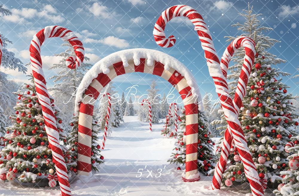 Kate Winter Weihnachten Outdoor Wald Schnee Candy Bogen Hintergrund entworfen von Chain Photography - Kate Backdrop.de