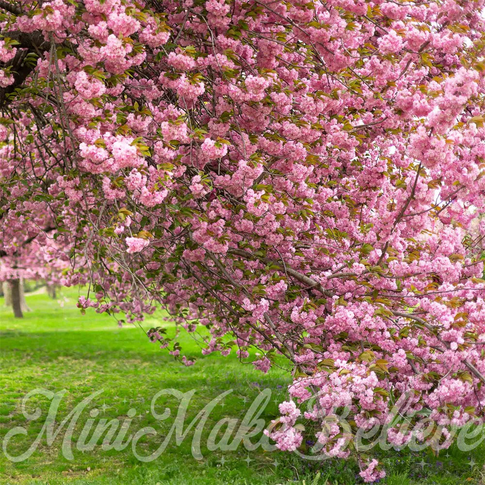 Kate Sommer Outdoor Rosa Kirschblütenbaum Grüne Wiese Hintergrund entworfen von Mini MakeBelieve - Kate Backdrop.de