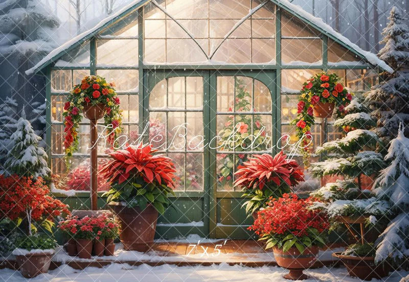 Kate Winter Schnee Rote Blume Gewächshaus Hintergrund Entworfen von GQ - Kate Backdrop.de
