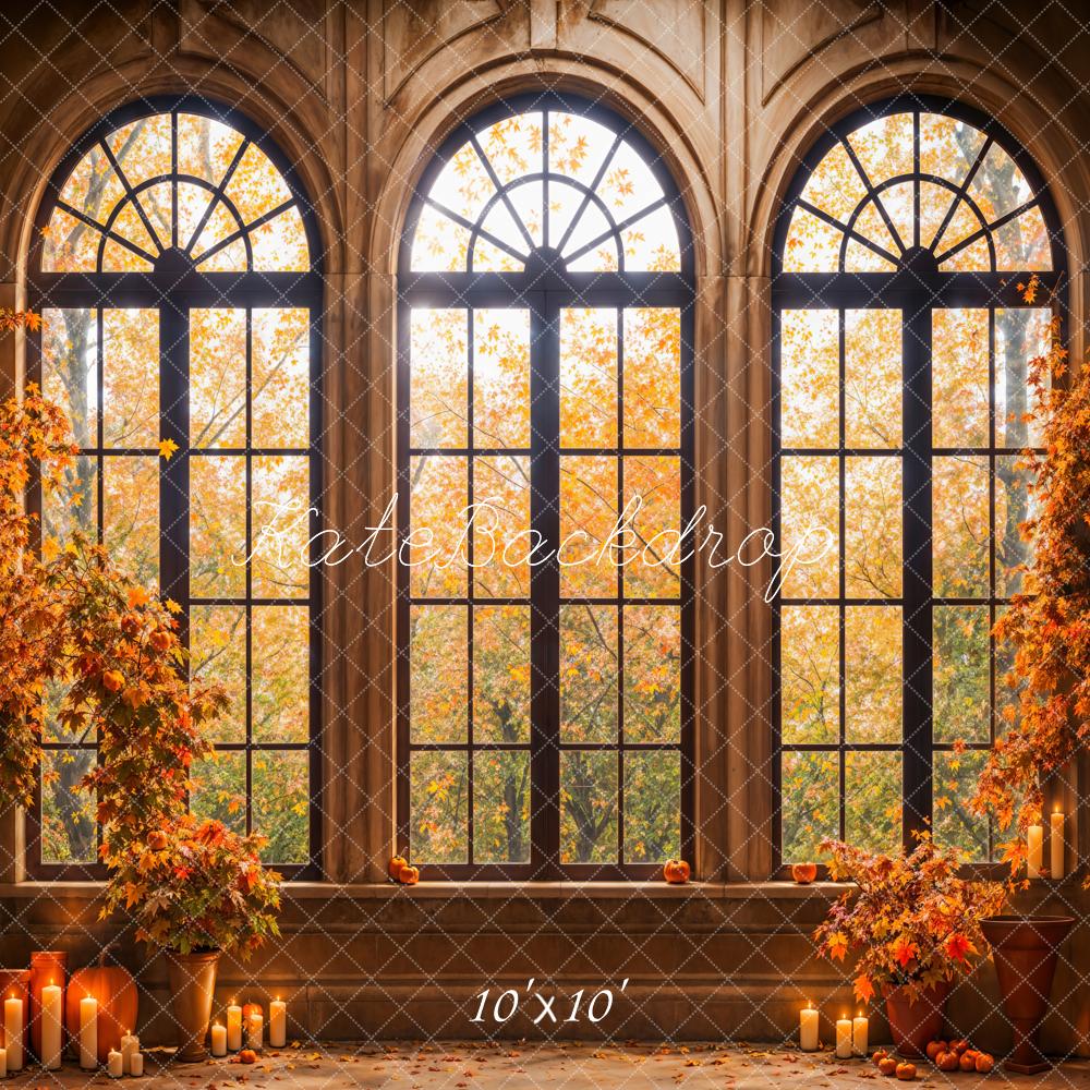 Kate Fall Forest Maple Leaves Black Arched Window Hintergrund Entworfen von Emetselch - Kate Backdrop.de