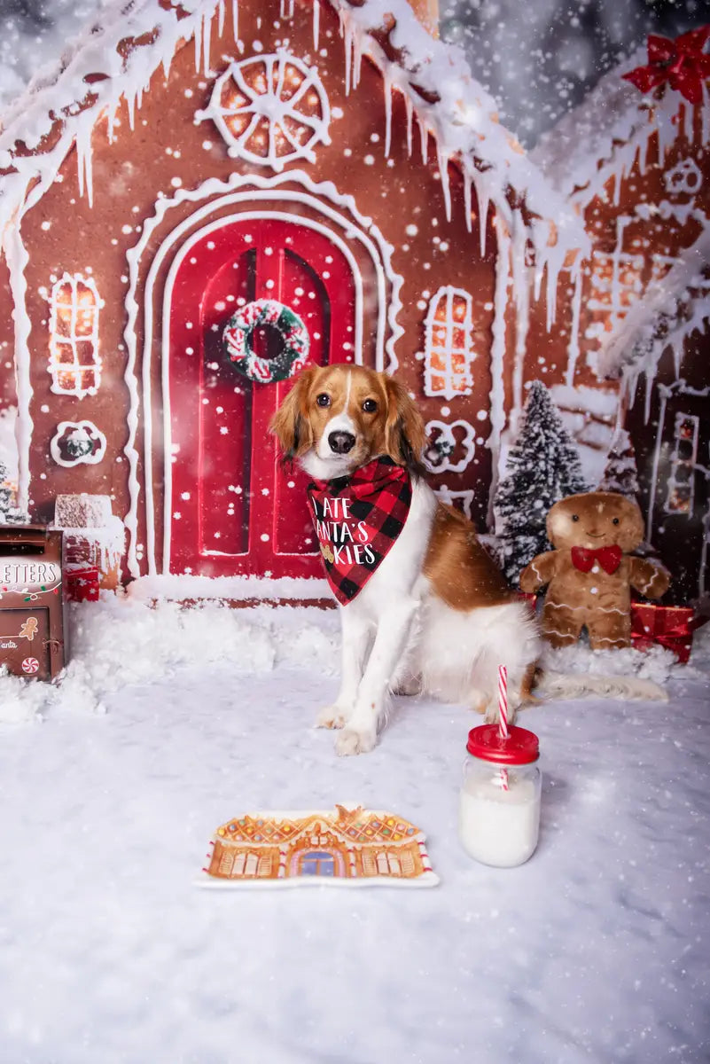 ⚡Blitzangebote #1-Kate Weihnachten Pfefferkuchenhäuser Schneeig Hintergrund + Winter-Schneeboden Hintergrund für Fotografie - Kate Backdrop.de