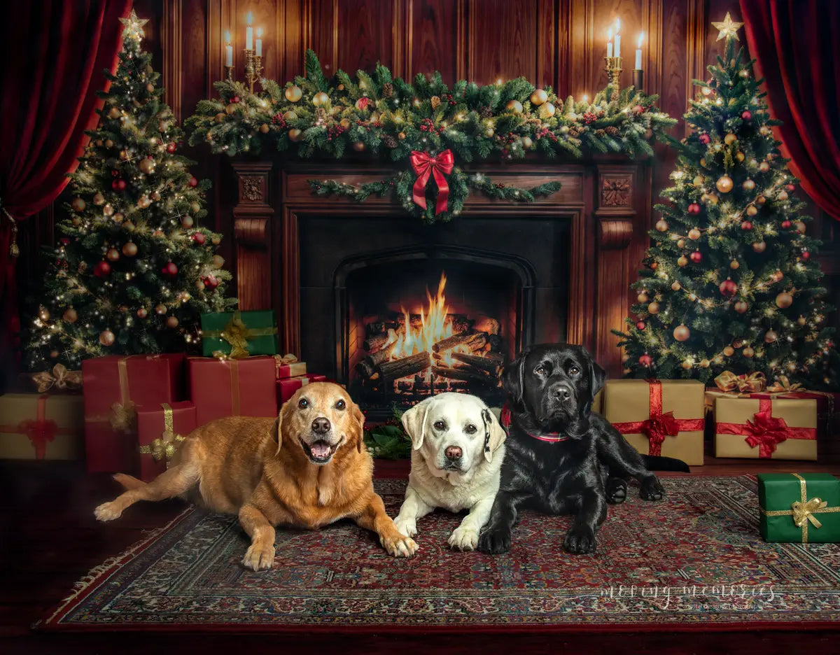 Kate Weihnachten Kamin Baum Braun Retro Wand Hintergrund+Brauner Holzstrukturboden Hintergrund - Kate Backdrop.de