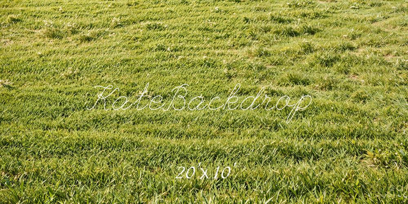 Kate Frühling Grünes Gras Feld Boden Hintergrund Entworfen von Emetselch - Kate Backdrop.de