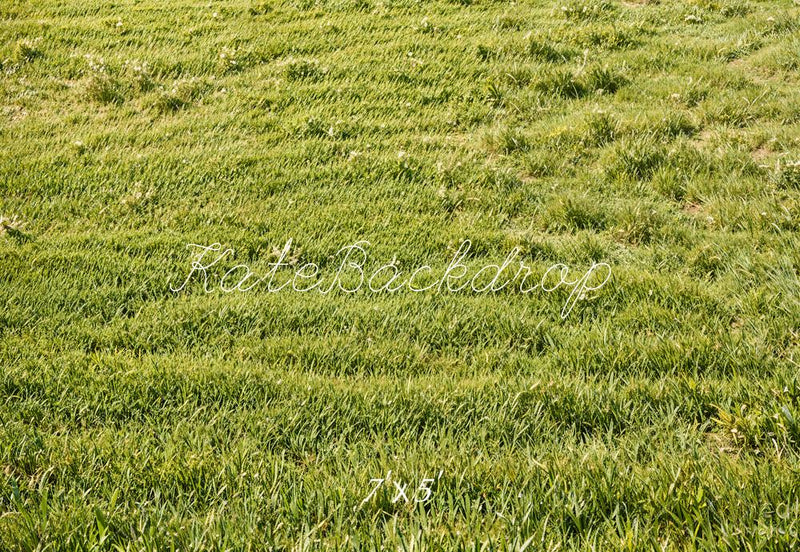 Kate Frühling Grünes Gras Feld Boden Hintergrund Entworfen von Emetselch - Kate Backdrop.de