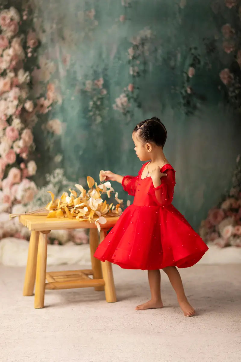 Kate Langärmeliges Kinderkleid aus Mesh für die Fotografie - Kate Backdrop.de