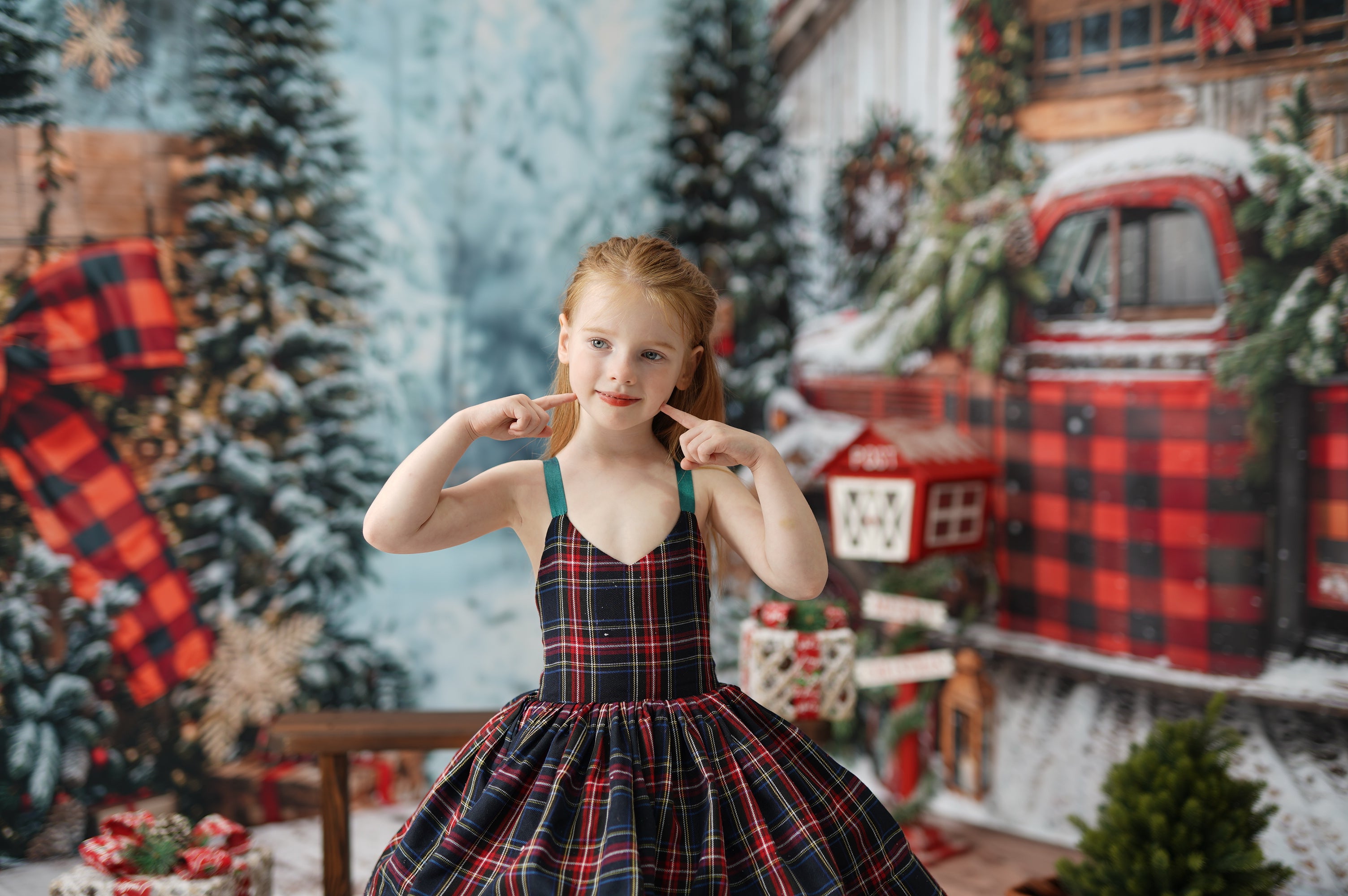 ⚡Blitzangebote #2-Kate Weihnachten Rot kariert LKW Kabine Schnee Raum Hintergrund-Set - Kate Backdrop.de