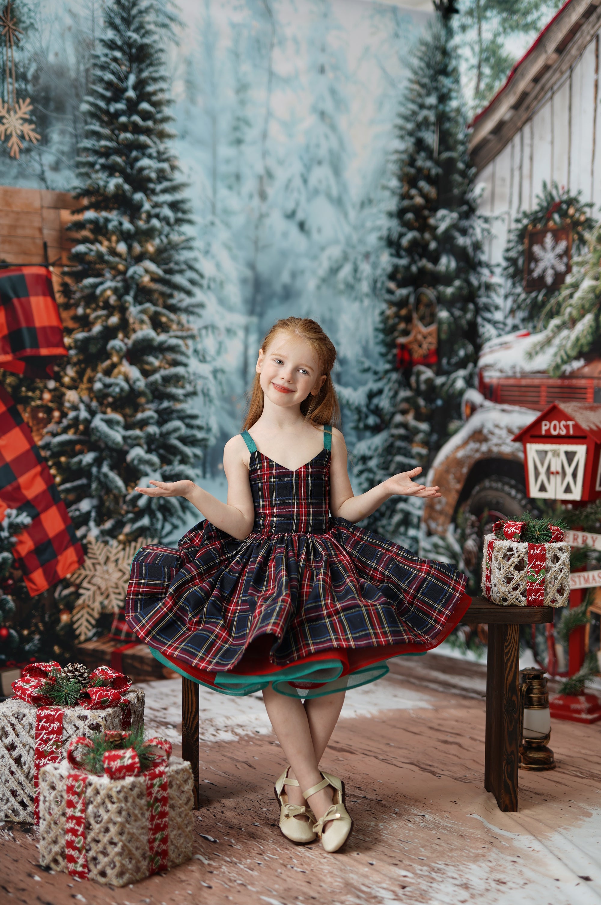 ⚡Blitzangebote #2-Kate Weihnachten Rot kariert LKW Kabine Schnee Raum Hintergrund-Set - Kate Backdrop.de