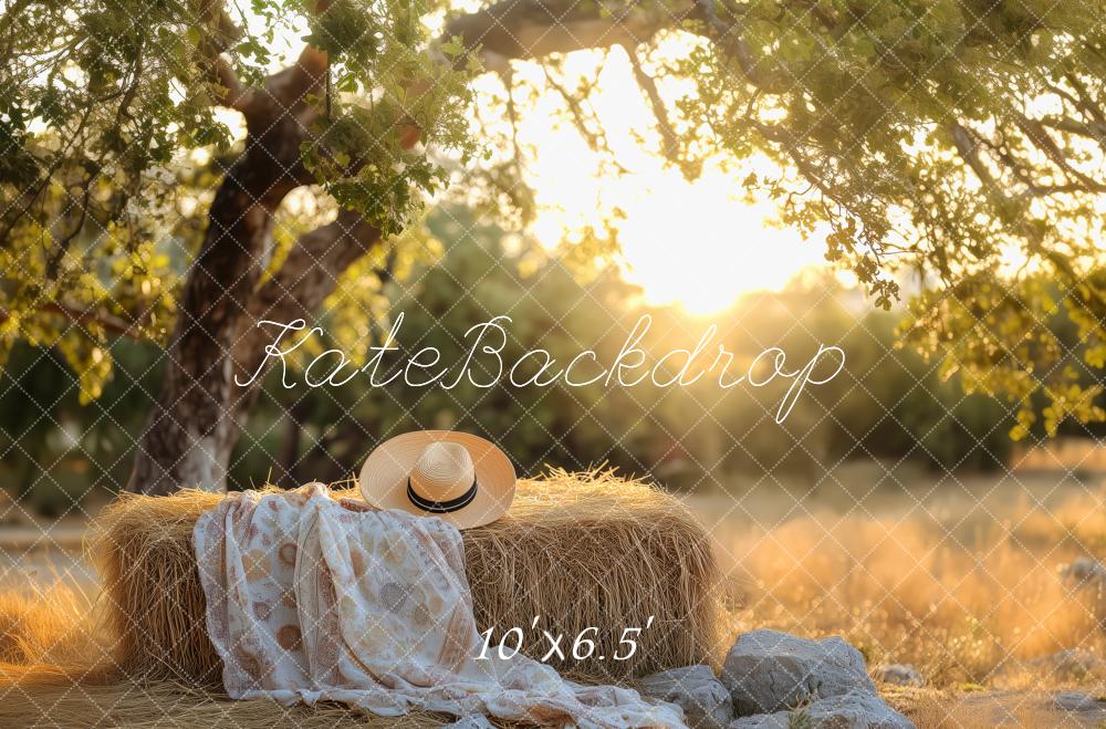 Kate Sommer im Freien Sonnenuntergang Gemütliches Picknick auf dem Land Hintergrund von Patty Roberts - Kate Backdrop.de
