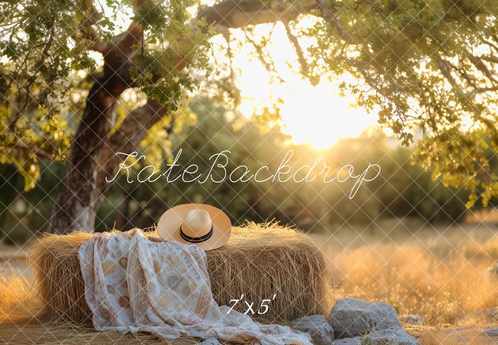 Kate Sommer im Freien Sonnenuntergang Gemütliches Picknick auf dem Land Hintergrund von Patty Roberts - Kate Backdrop.de