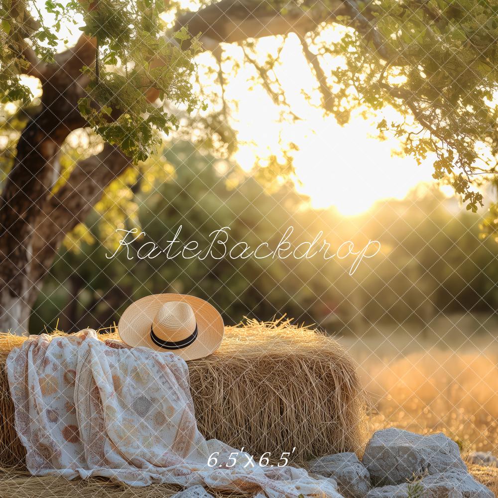 Kate Sommer im Freien Sonnenuntergang Gemütliches Picknick auf dem Land Hintergrund von Patty Roberts - Kate Backdrop.de