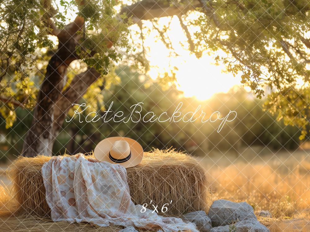 Kate Sommer im Freien Sonnenuntergang Gemütliches Picknick auf dem Land Hintergrund von Patty Roberts - Kate Backdrop.de