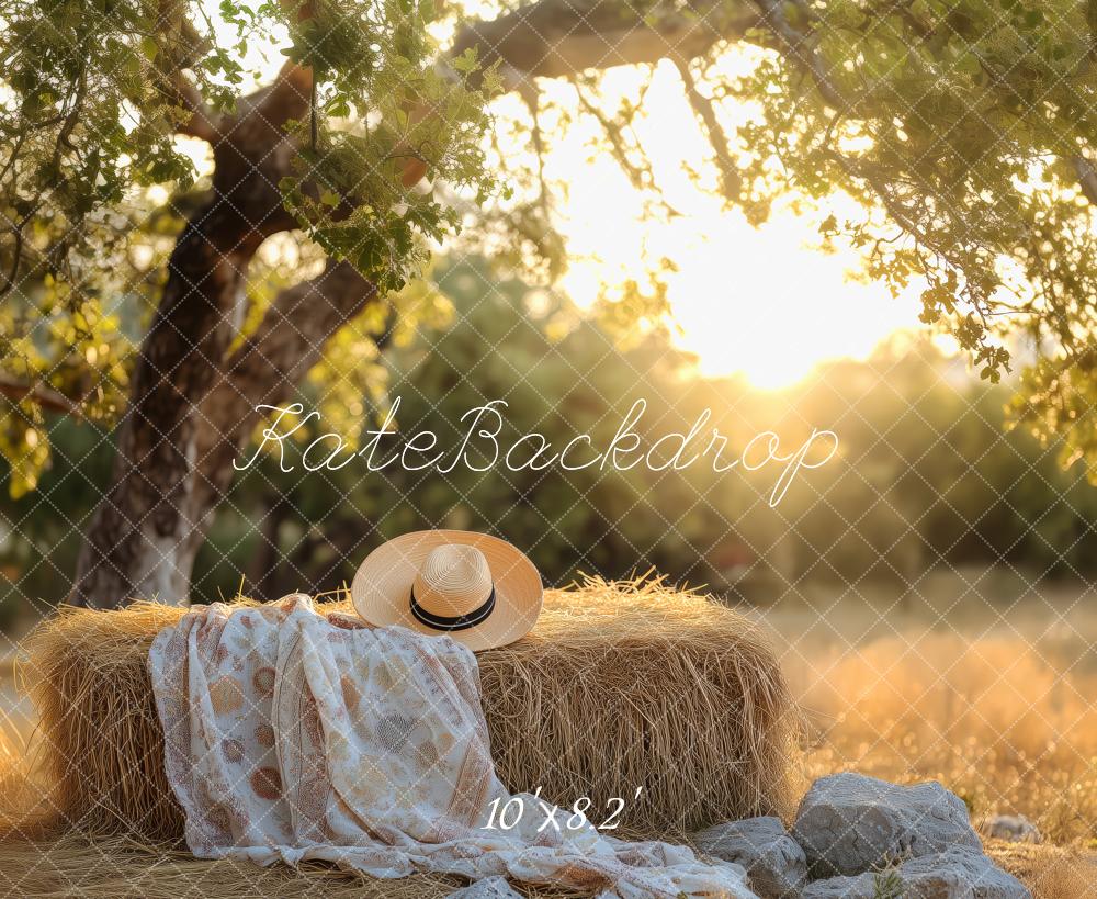 Kate Sommer im Freien Sonnenuntergang Gemütliches Picknick auf dem Land Hintergrund von Patty Roberts - Kate Backdrop.de