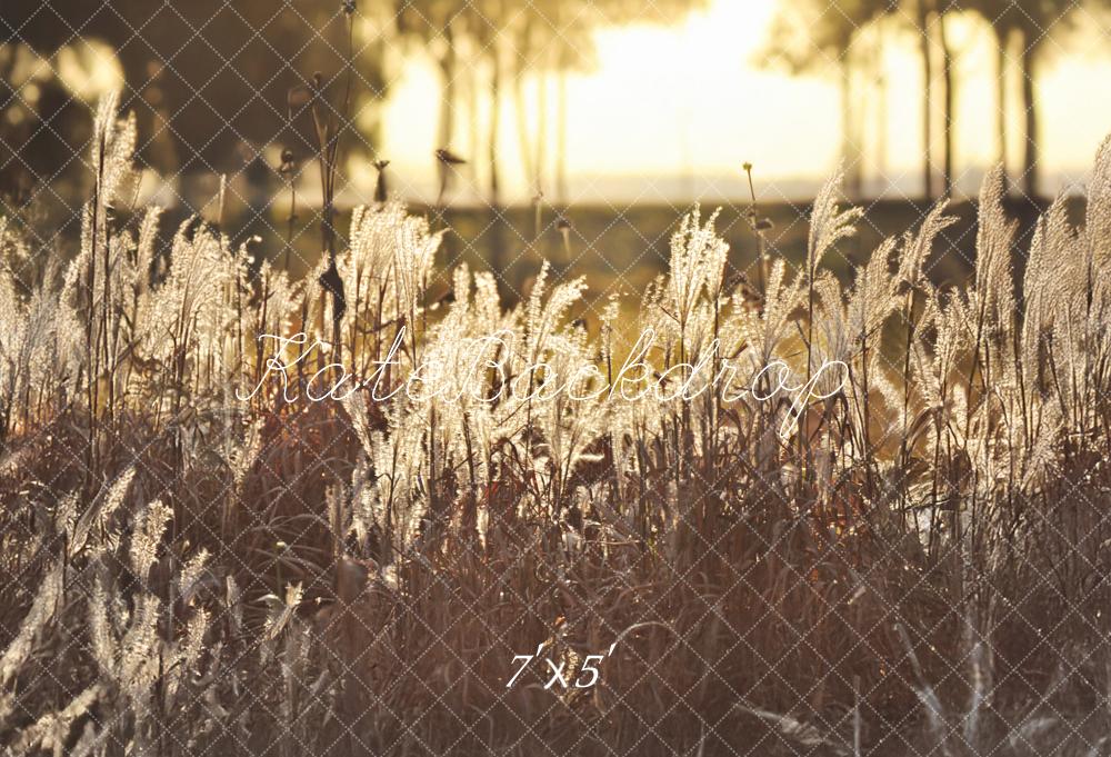 Kate Boho im Freien Goldener Sonnenuntergang Feld Hintergrund von Mandy Ringe Fotografie - Kate Backdrop.de