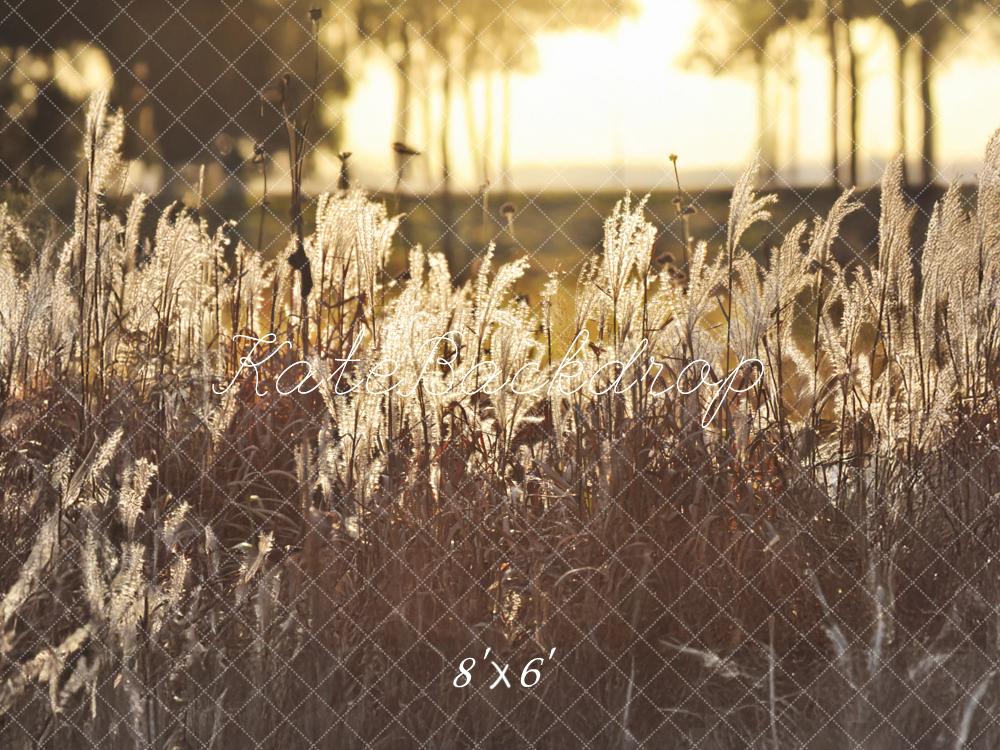 Kate Boho im Freien Goldener Sonnenuntergang Feld Hintergrund von Mandy Ringe Fotografie - Kate Backdrop.de