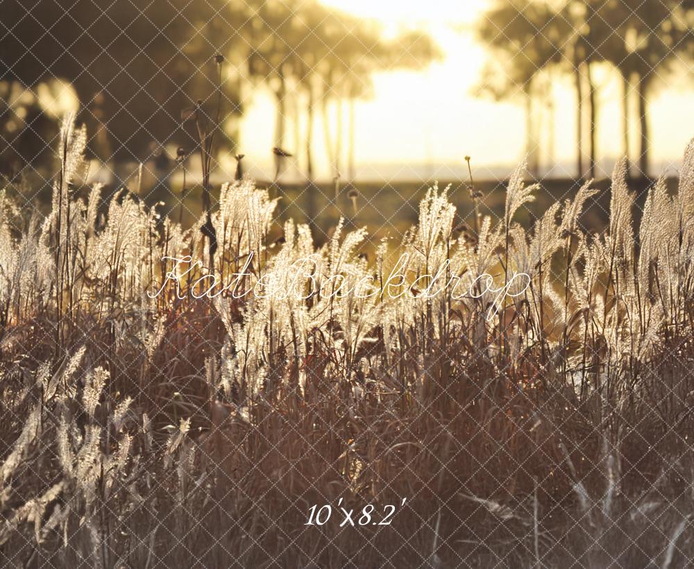 Kate Boho im Freien Goldener Sonnenuntergang Feld Hintergrund von Mandy Ringe Fotografie - Kate Backdrop.de