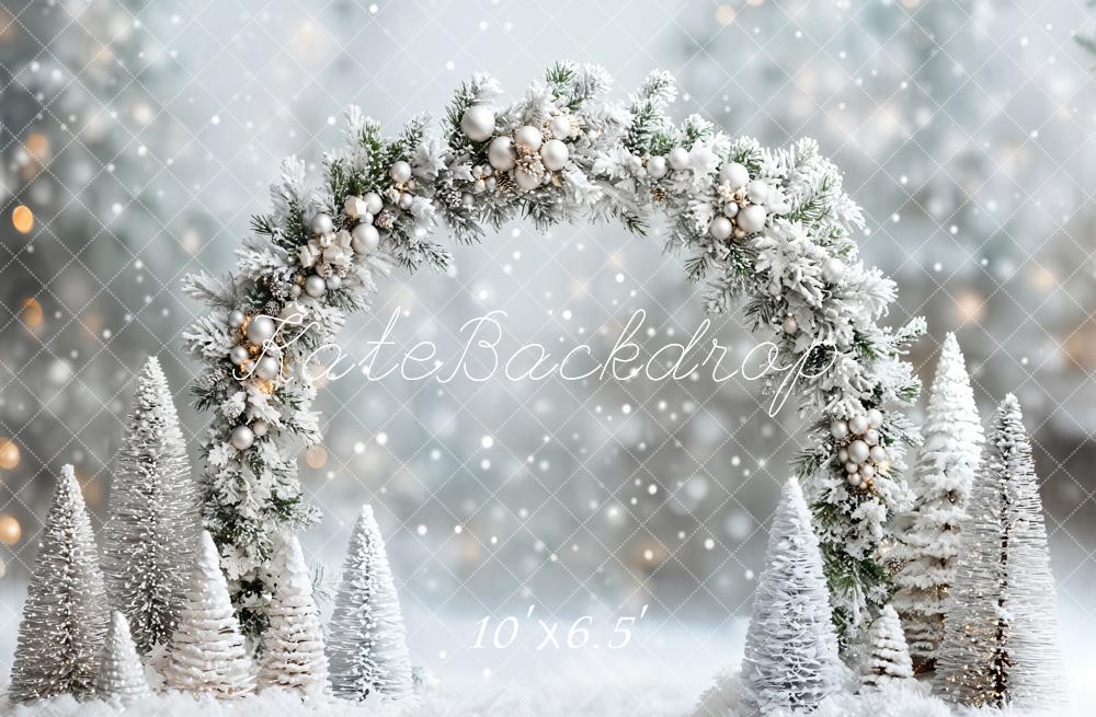 ⚡Blitzangebote #1-Kate Winter- Weihnachten- verschneites Wunderland Bogen Hintergrund - Kate Backdrop.de