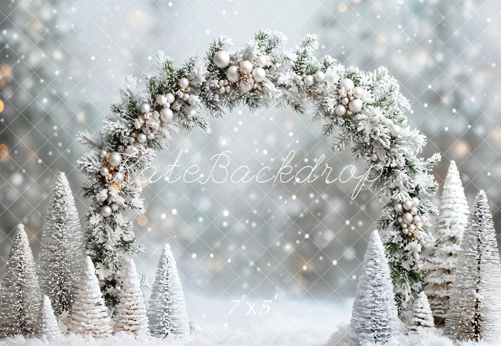 ⚡Blitzangebote #1-Kate Winter- Weihnachten- verschneites Wunderland Bogen Hintergrund - Kate Backdrop.de