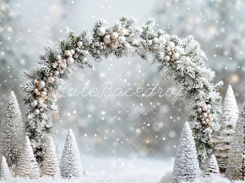 ⚡Blitzangebote #1-Kate Winter- Weihnachten- verschneites Wunderland Bogen Hintergrund - Kate Backdrop.de