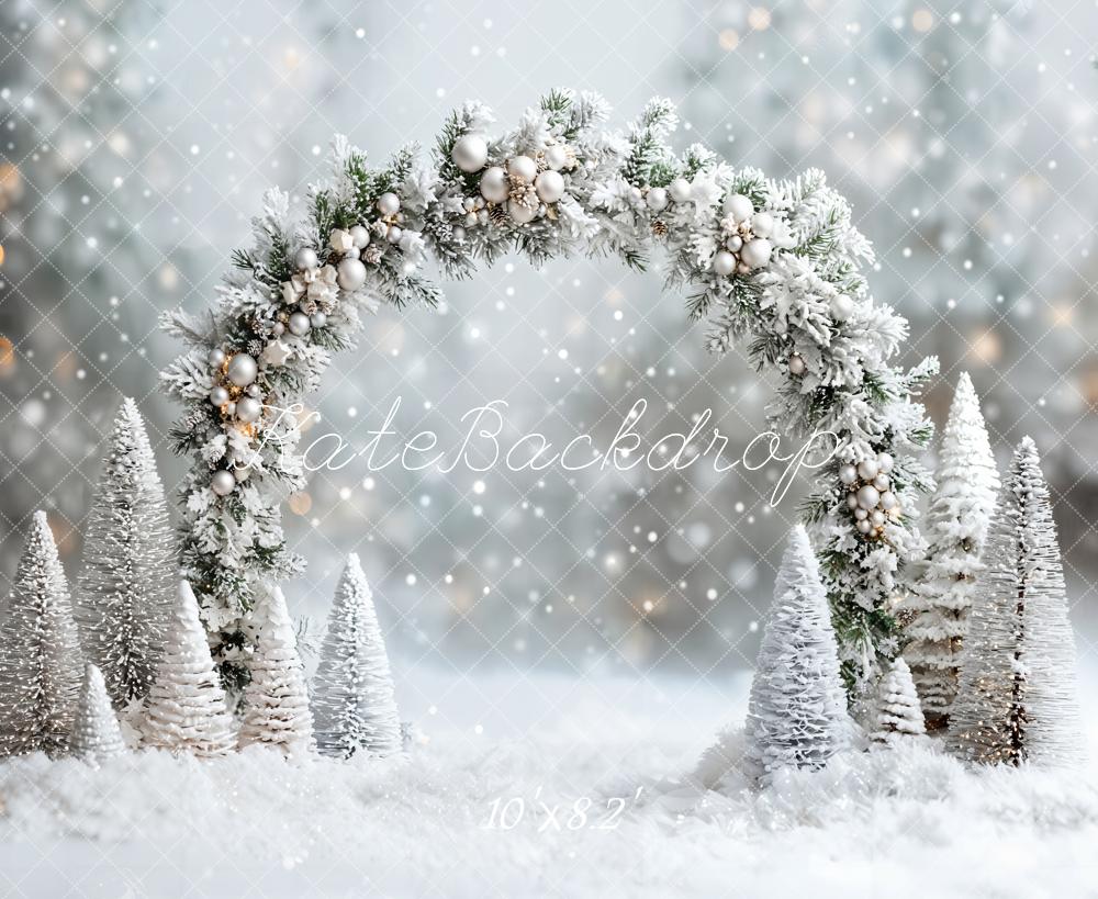 ⚡Blitzangebote #1-Kate Winter- Weihnachten- verschneites Wunderland Bogen Hintergrund - Kate Backdrop.de
