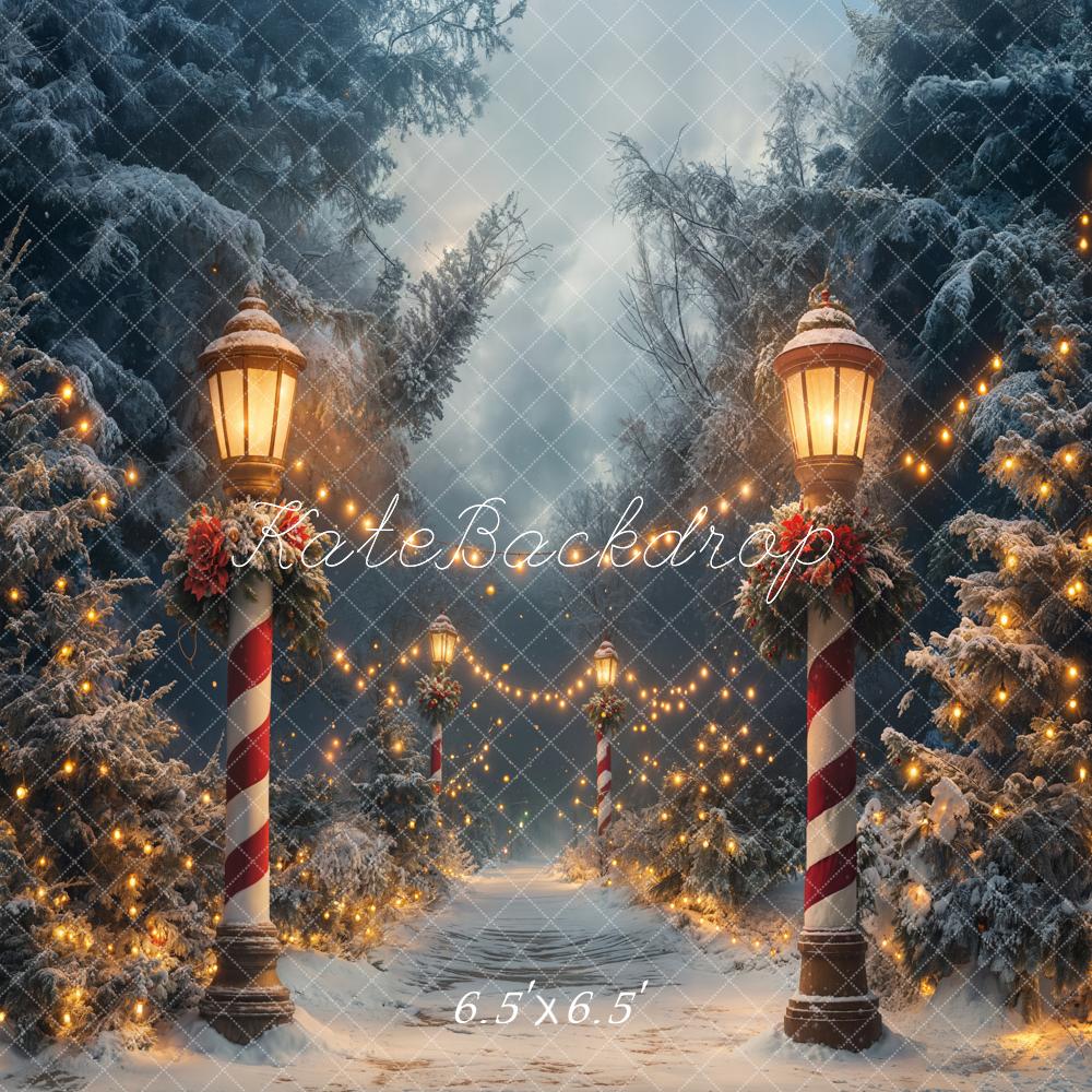⚡Blitzangebote #1-Kate Weihnachten Winter Wunderland Lichter Hintergrund - Kate Backdrop.de