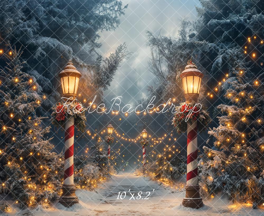 ⚡Blitzangebote #1-Kate Weihnachten Winter Wunderland Lichter Hintergrund - Kate Backdrop.de