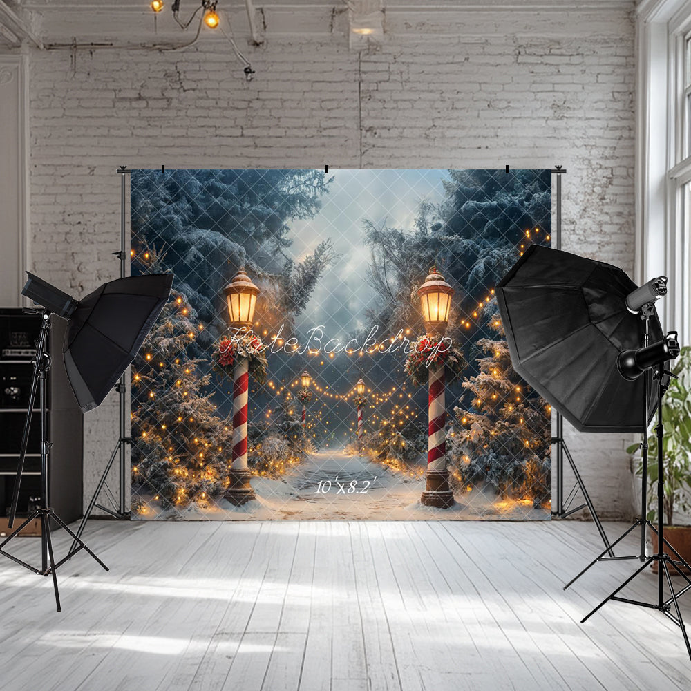 ⚡Blitzangebote #1-Kate Weihnachten Winter Wunderland Lichter Hintergrund - Kate Backdrop.de