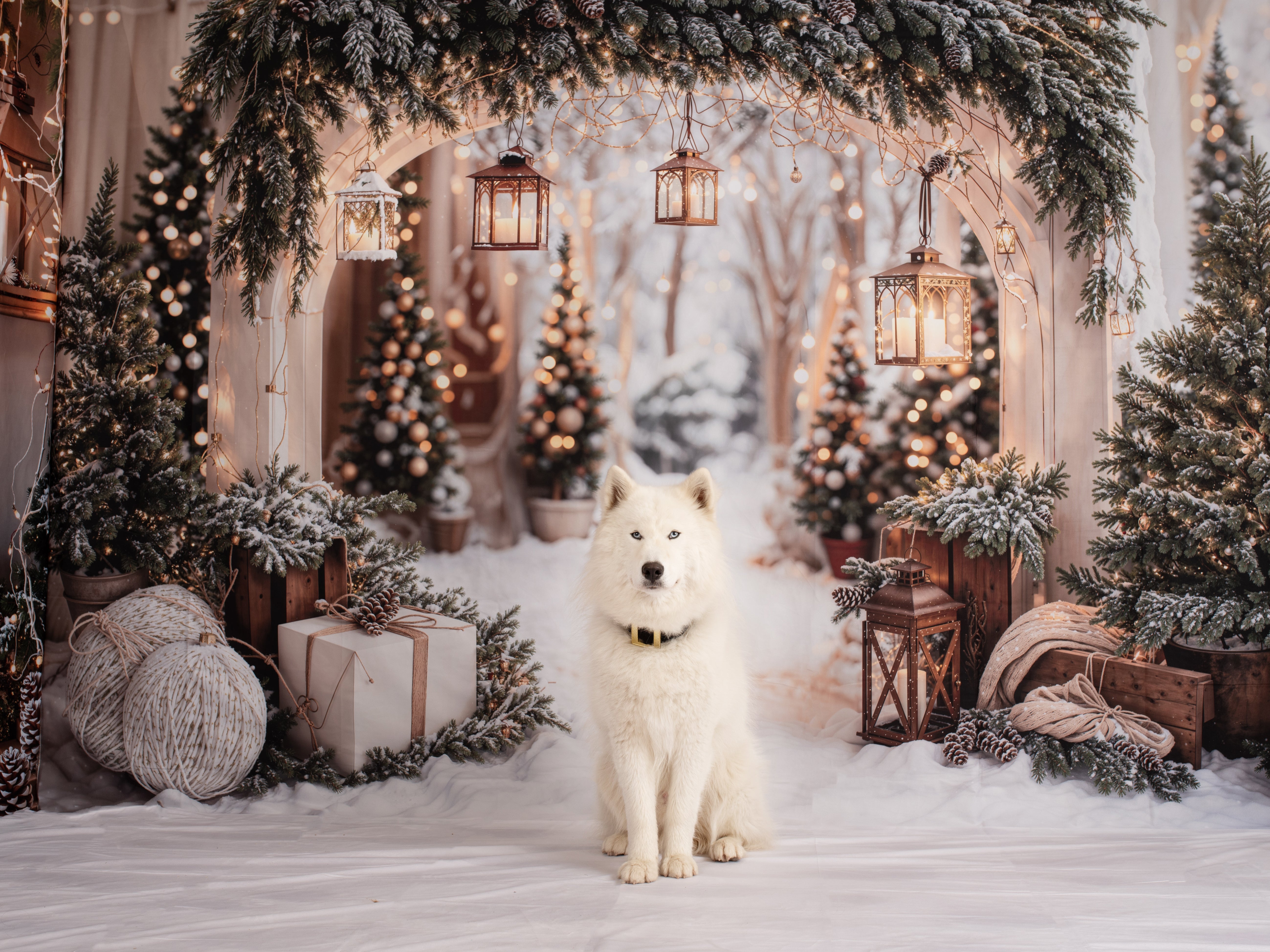 Kate Weihnachten–Bogen-Girlande, Schneebäume Scheunentor Raum Hintergrund-Set - Kate Backdrop.de