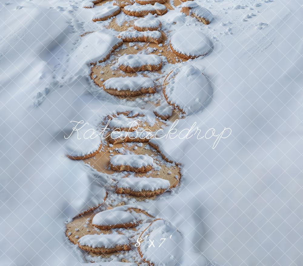 Kate Winter Steinweg Schnee Weiß Vinyl Hintergrund Boden