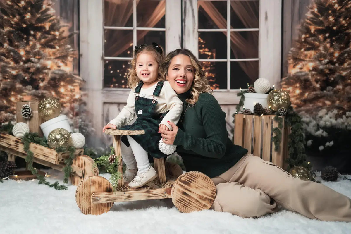 Kate Weihnachten Scheune mit Lichtern und Weihnachtsbaum Hintergrund entworfen von Emetselch - Kate Backdrop.de