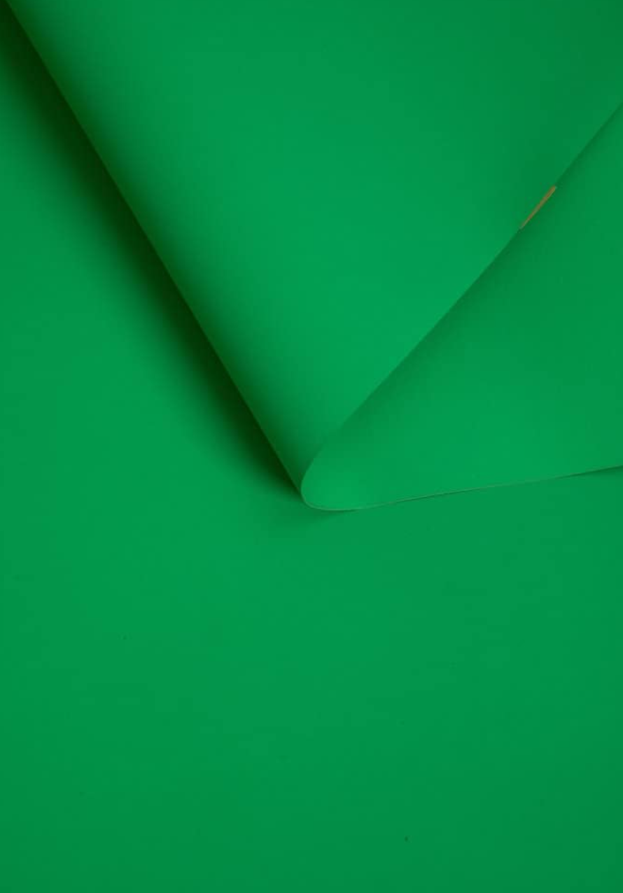 Kate Whiskey Grün Nahtloser Papierhintergrund für Fotografie