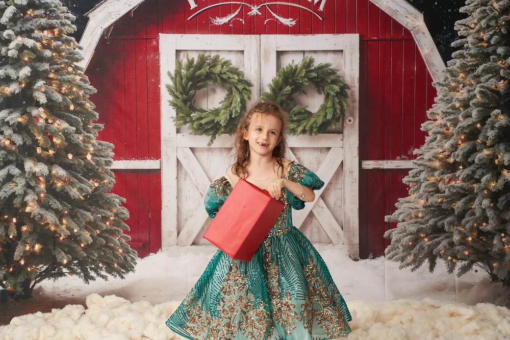 Kate Winter Weihnachten Bauernhof Rote Scheune Hintergrund von Chain Photography - Kate Backdrop.de