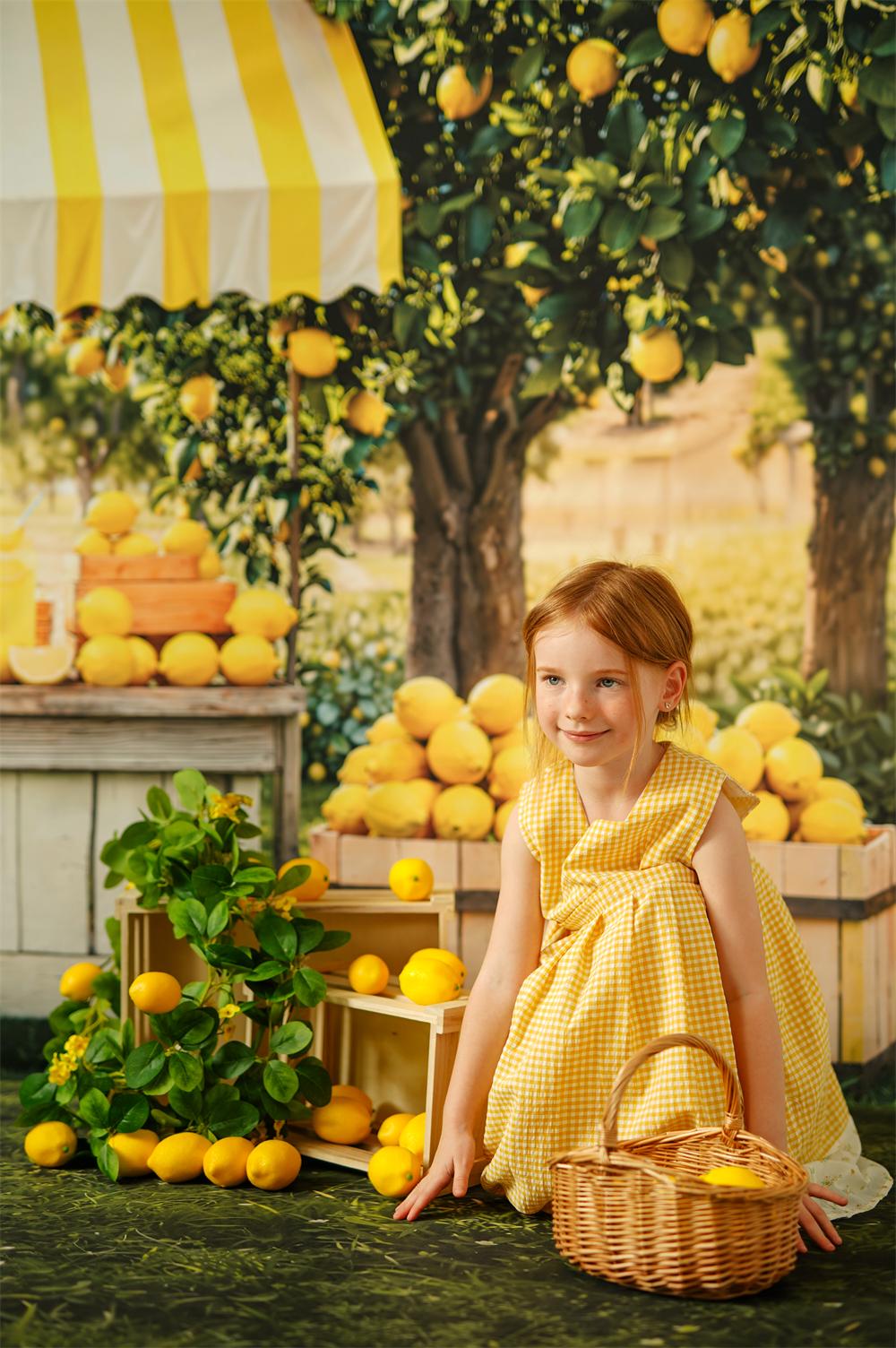 Kate Sommer-Limonadenstand-Fotokit - Kate Backdrop.de