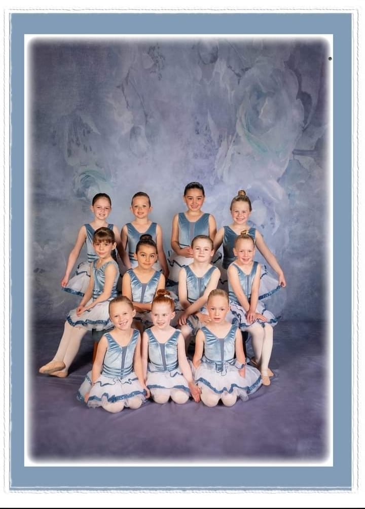 Kate Fine Art Blumen Grau Blau Hintergrund Entworfen von Chain Photography - Kate Backdrop.de