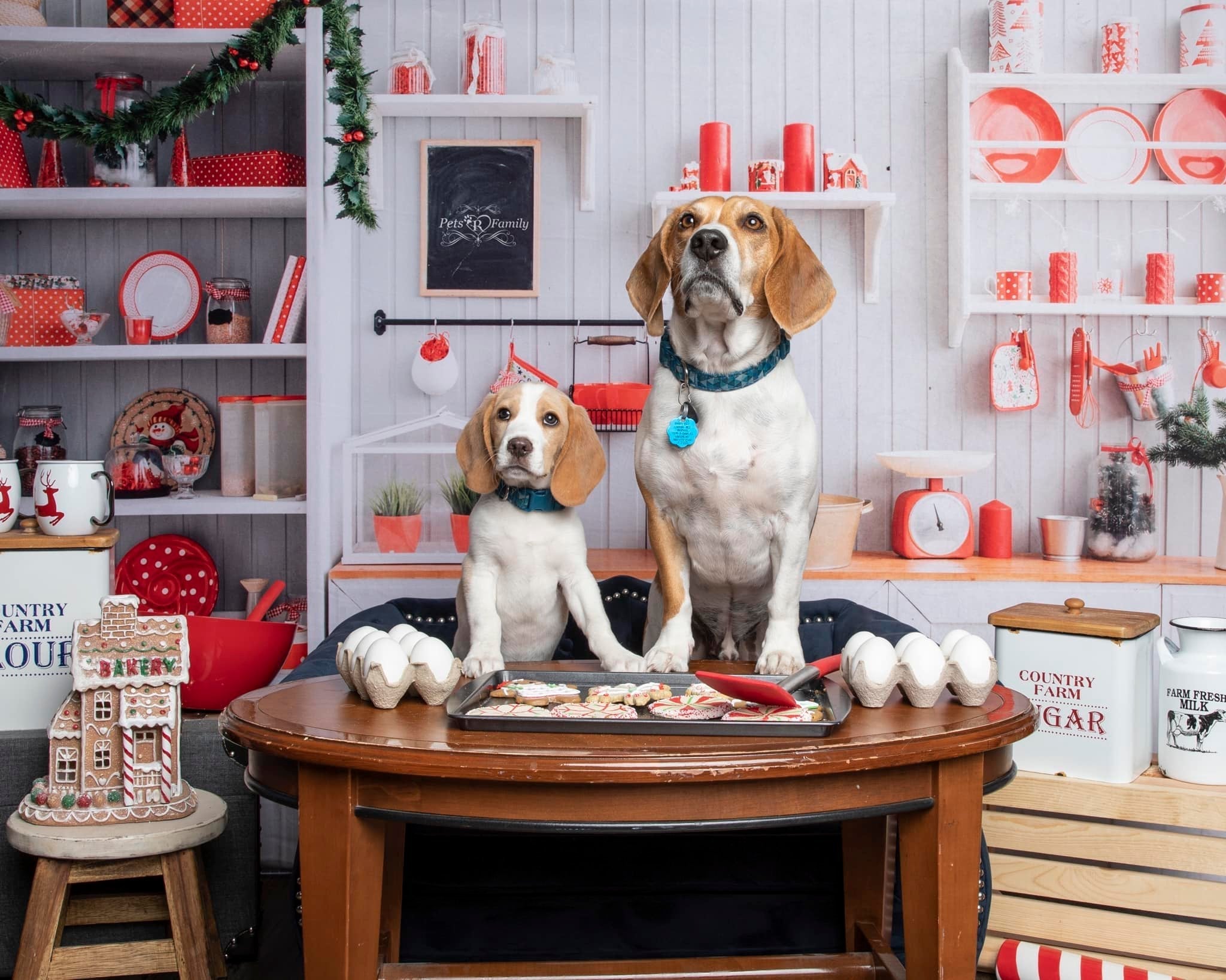 Kate Weihnachten Küche Weiß Wand Fleece Hintergrund - Kate Backdrop.de