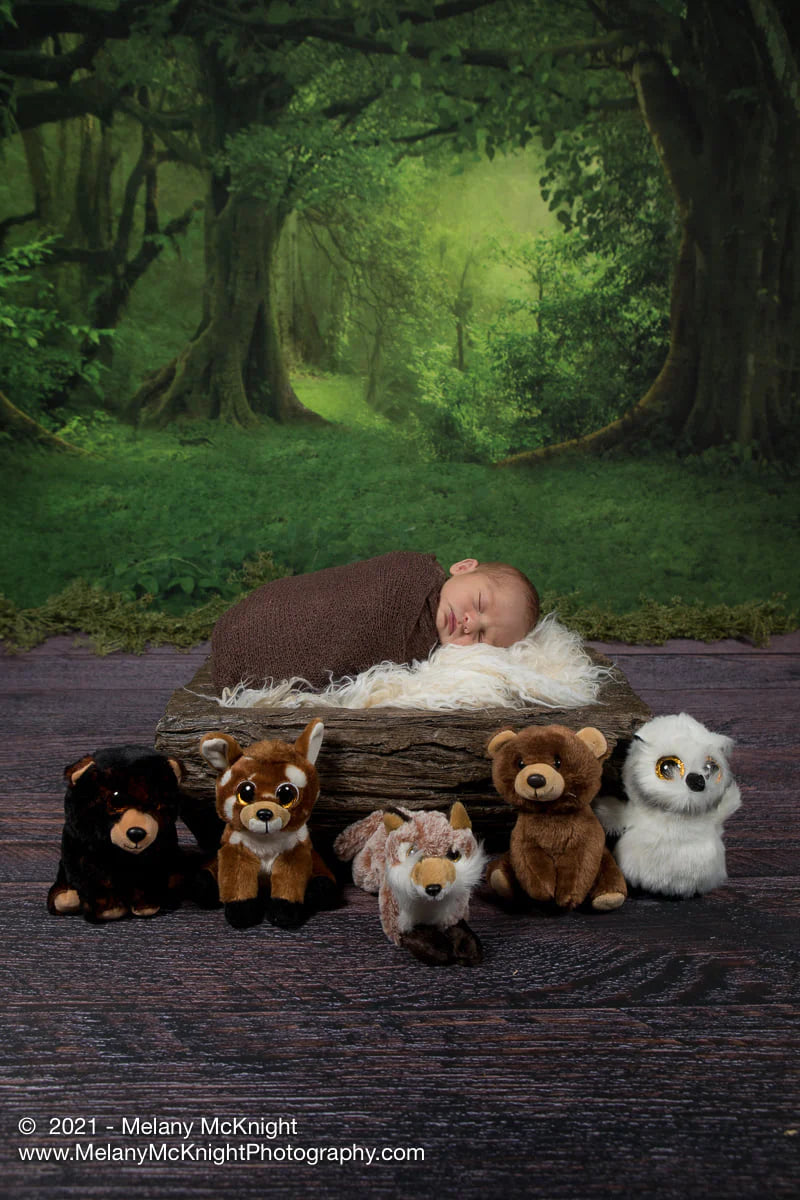 Kate Grüner Wald Fantastisch Neblig Studio Hintergrund Fotografie - Kate Backdrop.de