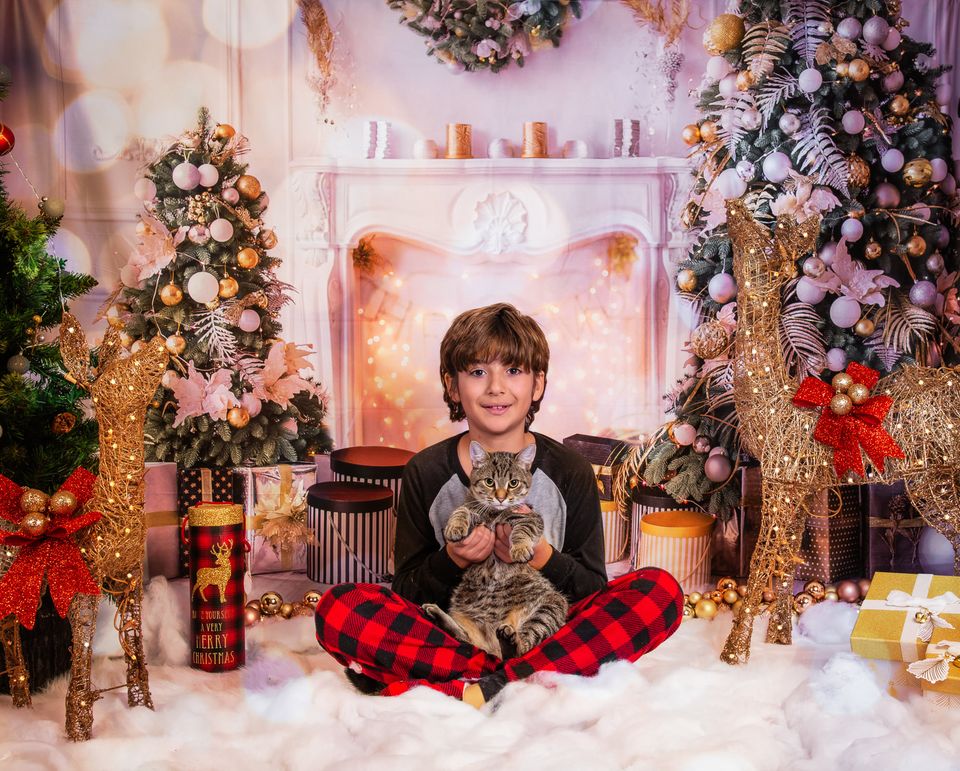 Kate Weihnachten weißer Raum Geschenke Dekoration Hintergrund für die Fotografie - Kate Backdrop.de