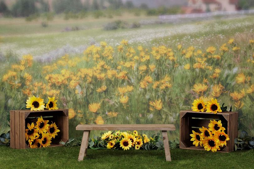 Kate Bergwiesenhintergrund für Fotografie Entworfen von Lisa Granden - Kate Backdrop.de