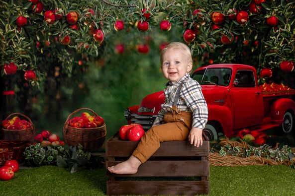 Kate Frühling Apfel Obstgarten roten LKW Hintergrund von Rosabell Fotografie - Kate Backdrop.de