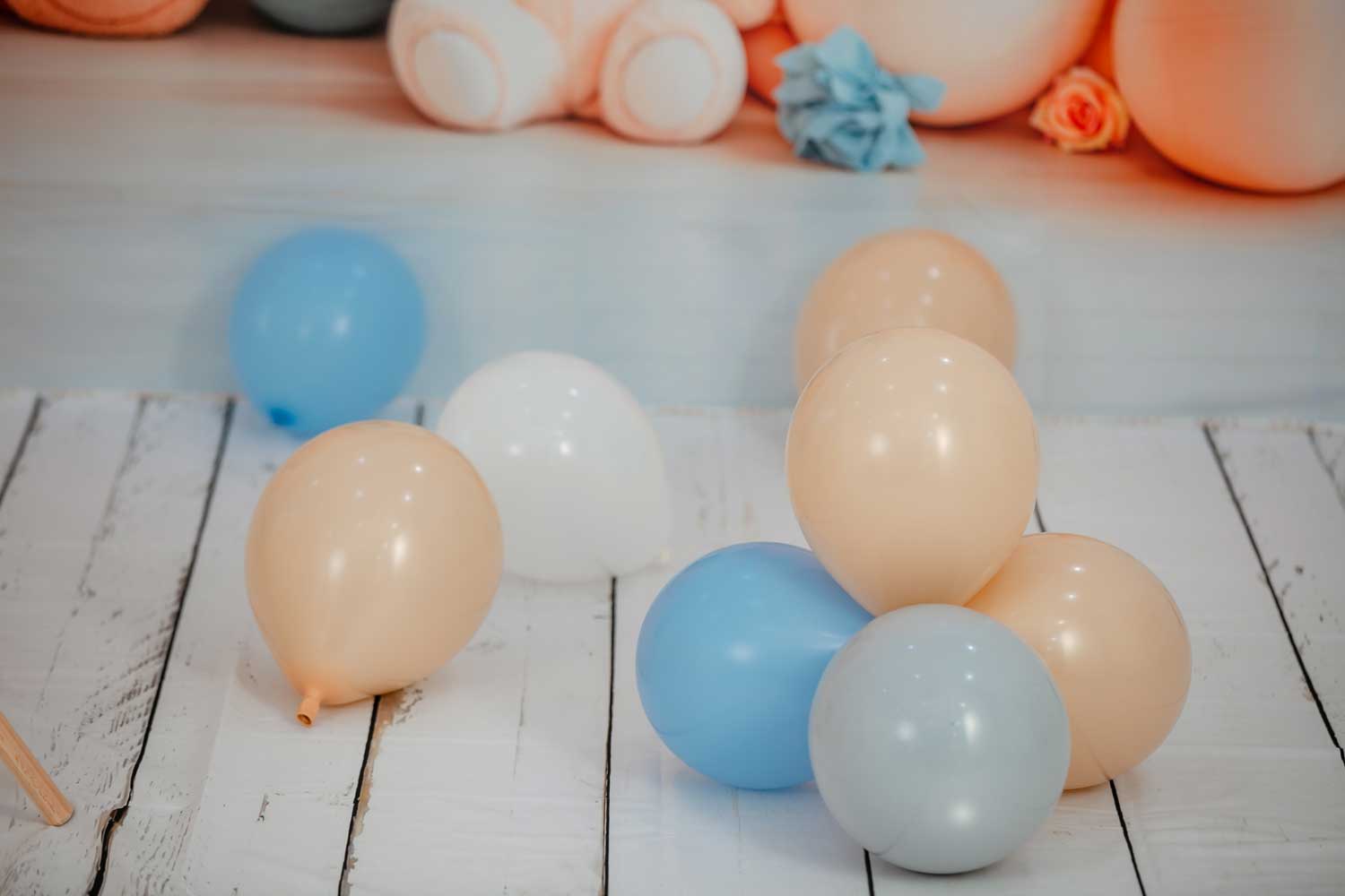 Kate Zeltbär-Fotokit - Kate Backdrop.de