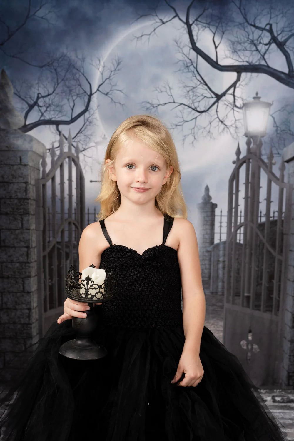 Kate Halloween Stoff Tuch Hintergrund für die Fotografie Spukhaus - Kate Backdrop.de