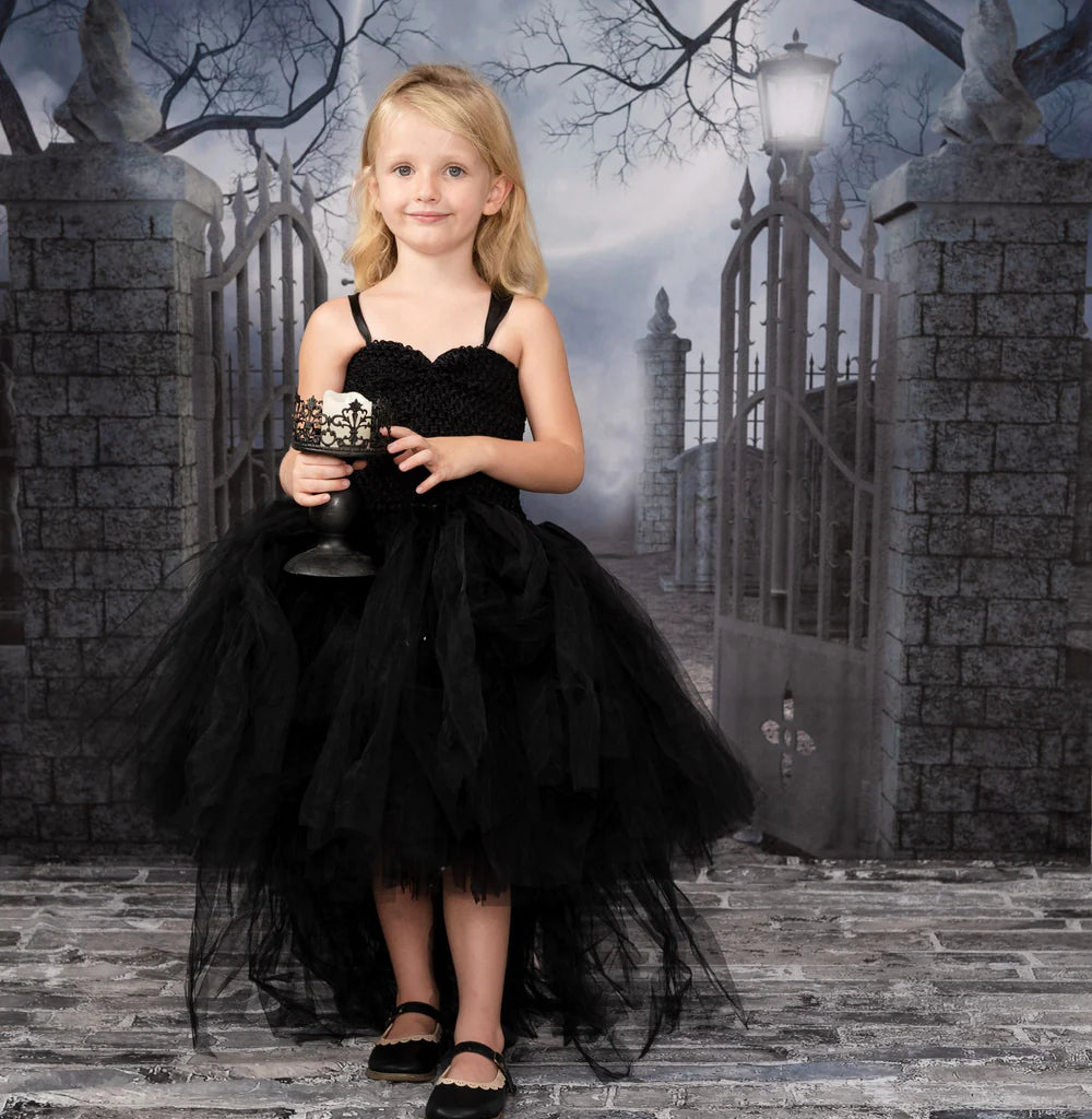Kate Halloween Stoff Tuch Hintergrund für die Fotografie Spukhaus - Kate Backdrop.de