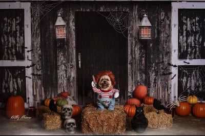 Kate Gespenstische Halloween Scheune Hintergrund von Mandy Ringe Photography - Kate Backdrop.de