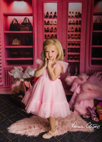 Kate Prinzessin Rosa Zimmer Hintergrund von Chain Photography