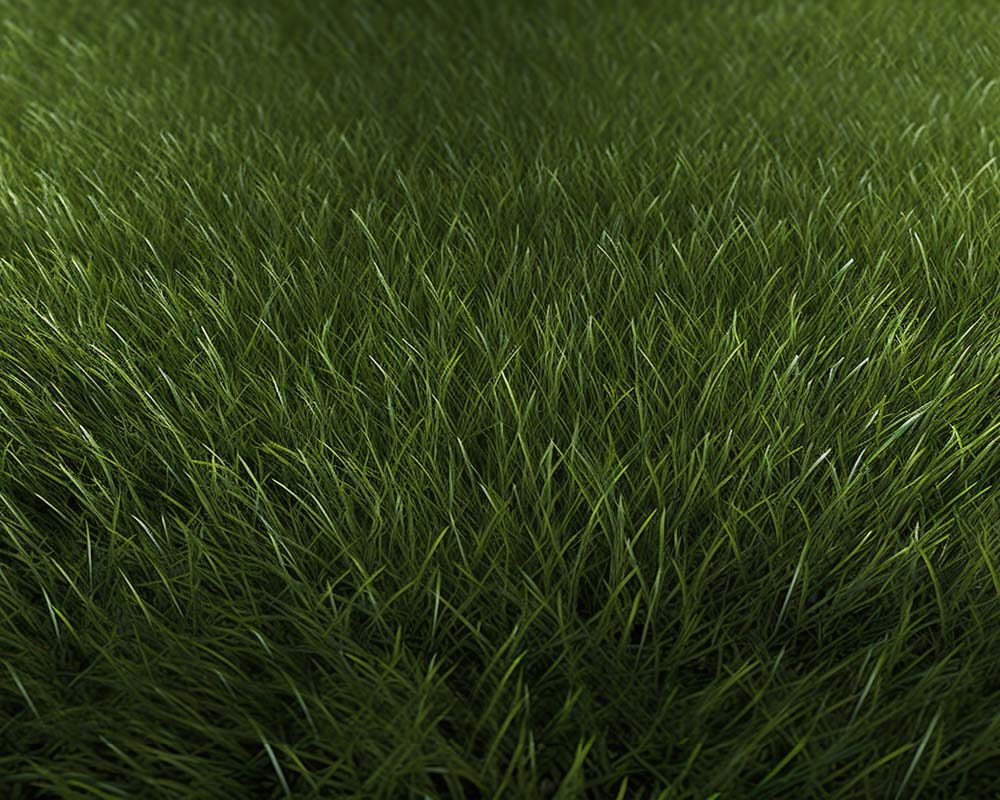 Kate Sommer Gras Gummi Boden Matte - Kate Backdrop.de