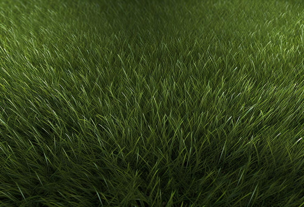 Kate Sommer Gras Gummi Boden Matte - Kate Backdrop.de