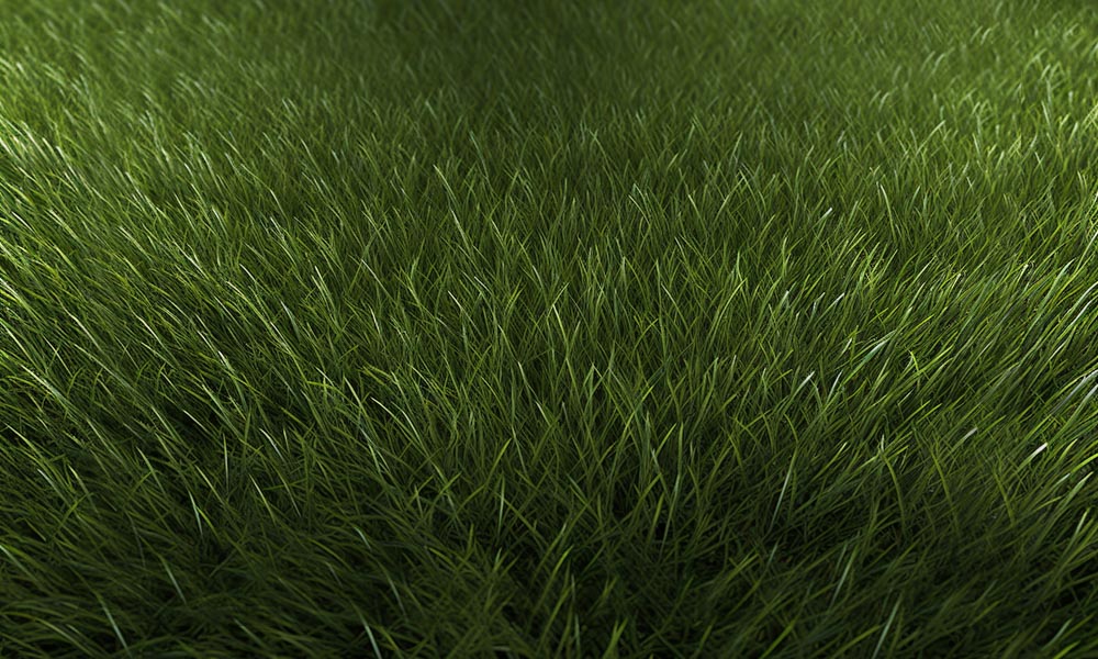 Kate Sommer Gras Gummi Boden Matte - Kate Backdrop.de